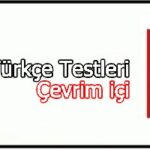 5.Sinif-Test-Coz-Turkce-online-1