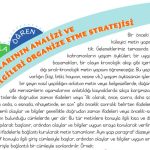 5.Sınıf Türkçe Kitabı 2.Kitap Sayfa 38-39-40-41-42-43 Cevapları