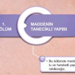 5. Sınıf Fen Bilimleri Kitabı 2. Kitap Sayfa 52-53-54-55-56-57-58-59-60-61-62-63 Cevapları