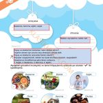 5. Sınıf Sosyal Bilgiler Kitabı 2. Kitap Sayfa 85-86-87-88-89-90-91-92 Cevapları