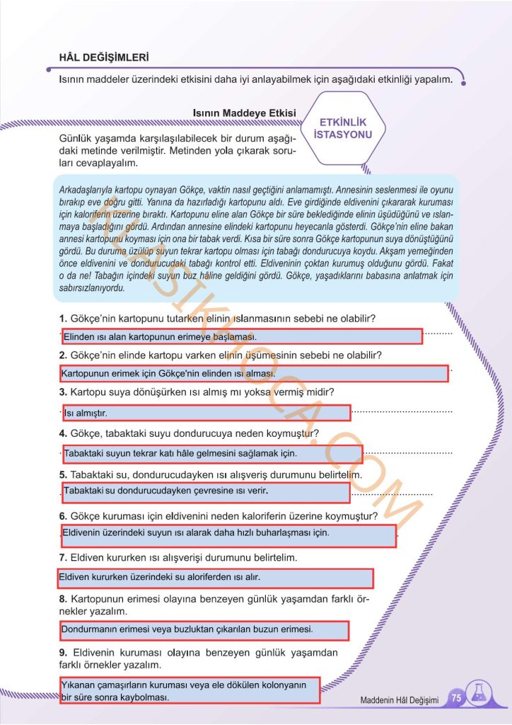 5. Sınıf Fen Bilimleri Kitabı 2. Kitap Sayfa 75 Cevapları