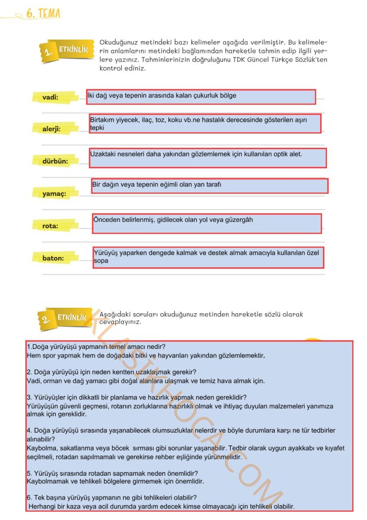 5. Sınıf Türkçe Kitabı 2. Kitap Sayfa 116 Cevapları