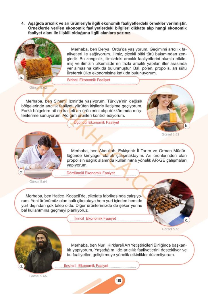 5. Sınıf Sosyal Bilgiler Kitabı 2. Kitap Sayfa 115 Cevapları