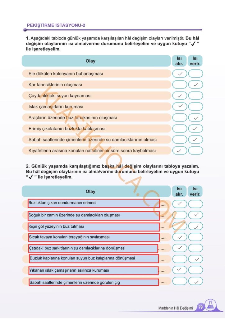 5. Sınıf Fen Bilimleri Kitabı 2. Kitap Sayfa 79 Cevapları