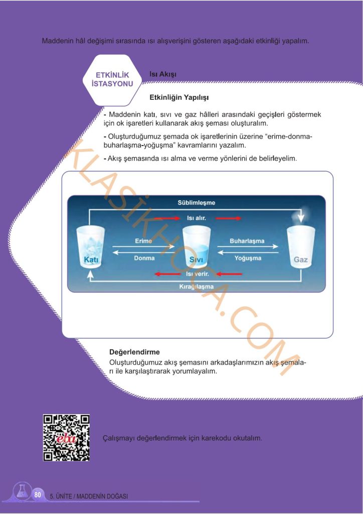 5. Sınıf Fen Bilimleri Kitabı 2. Kitap Sayfa 80 Cevapları