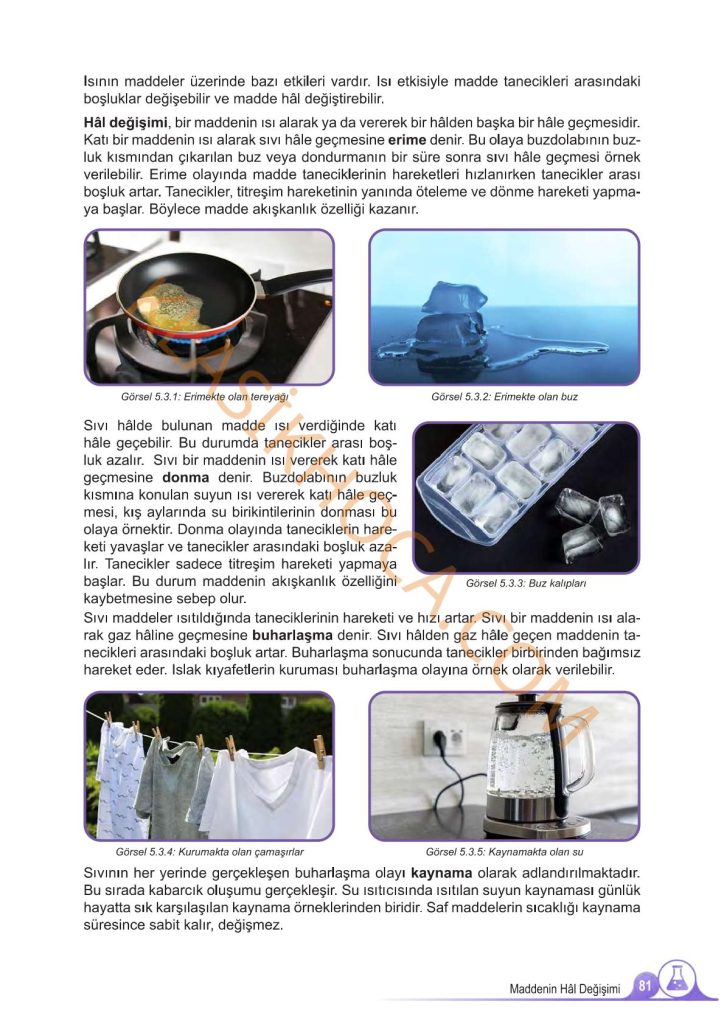 5. Sınıf Fen Bilimleri Kitabı 2. Kitap Sayfa 81 Cevapları