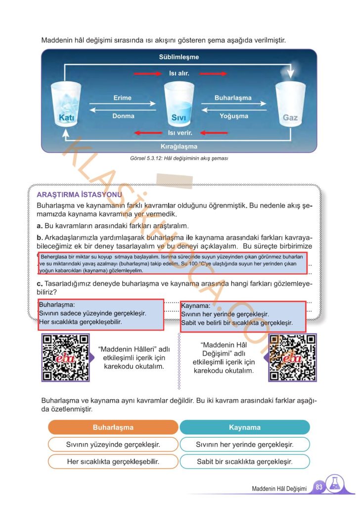 5. Sınıf Fen Bilimleri Kitabı 2. Kitap Sayfa 83 Cevapları