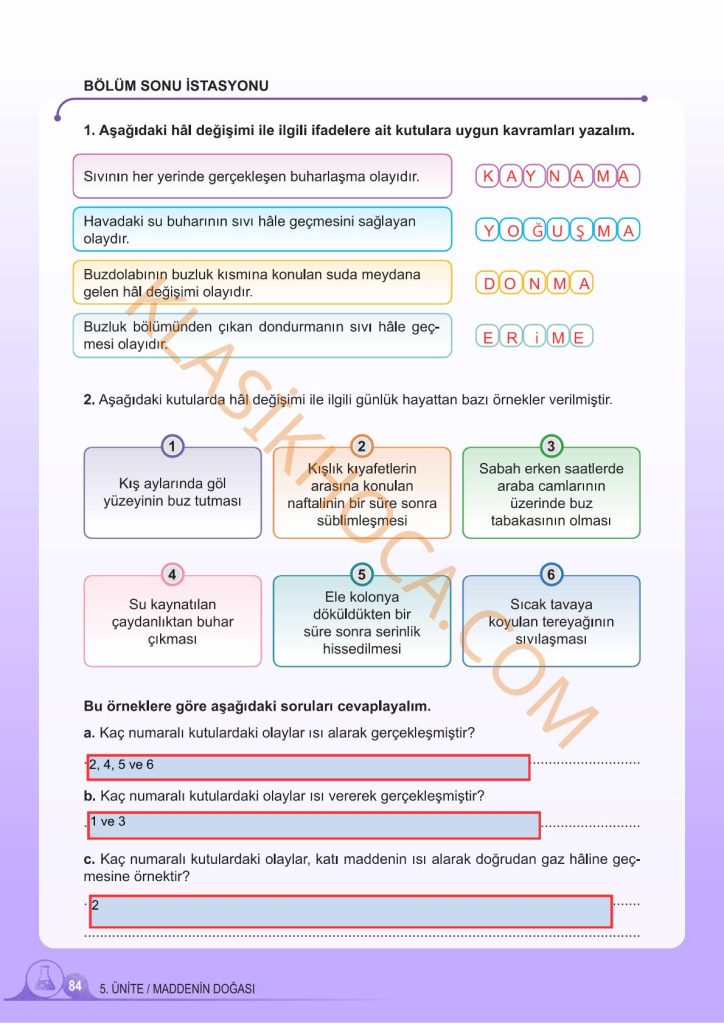 5. Sınıf Fen Bilimleri Kitabı 2. Kitap Sayfa 84 Cevapları