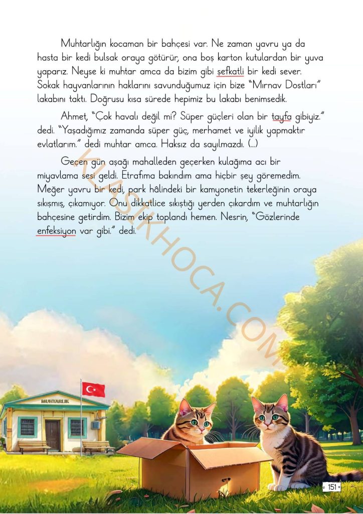 Mırnav Dostları Metni Cevapları - 2. Sınıf Türkçe 2. Kitap