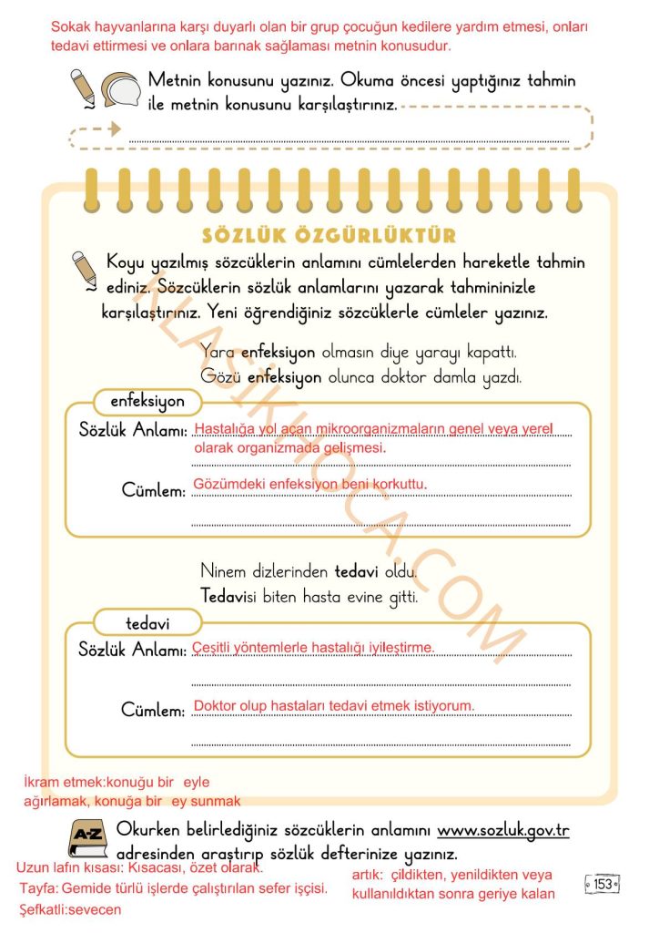 Mırnav Dostları Metni Cevapları - 2. Sınıf Türkçe 2. Kitap