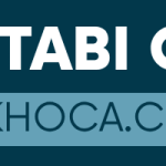 6 türkçe cevaplar