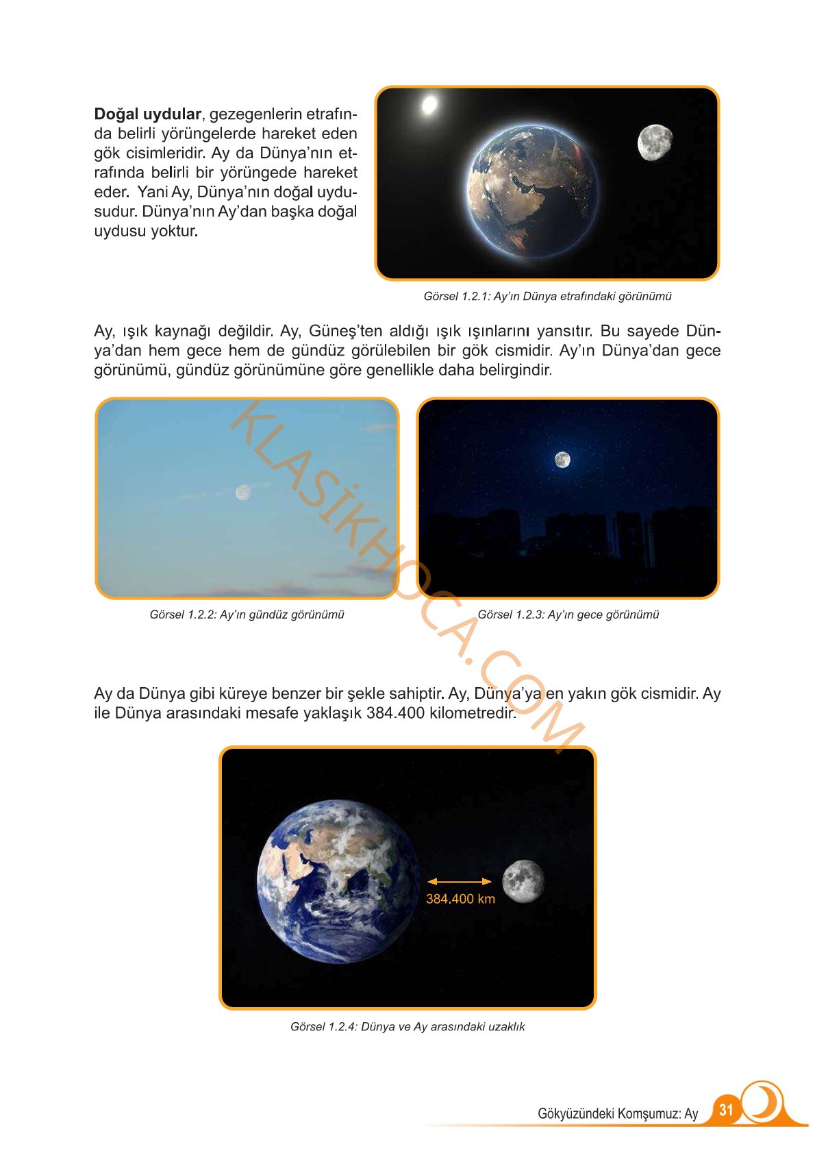 5. Sınıf Fen Bilimleri Kitabı 1. Kitap Sayfa 31 Cevapları
