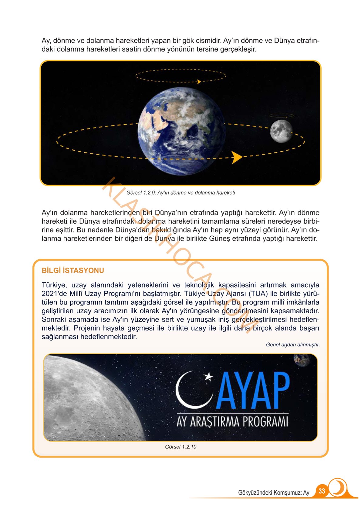 5. Sınıf Fen Bilimleri Kitabı 1. Kitap Sayfa 33 Cevapları