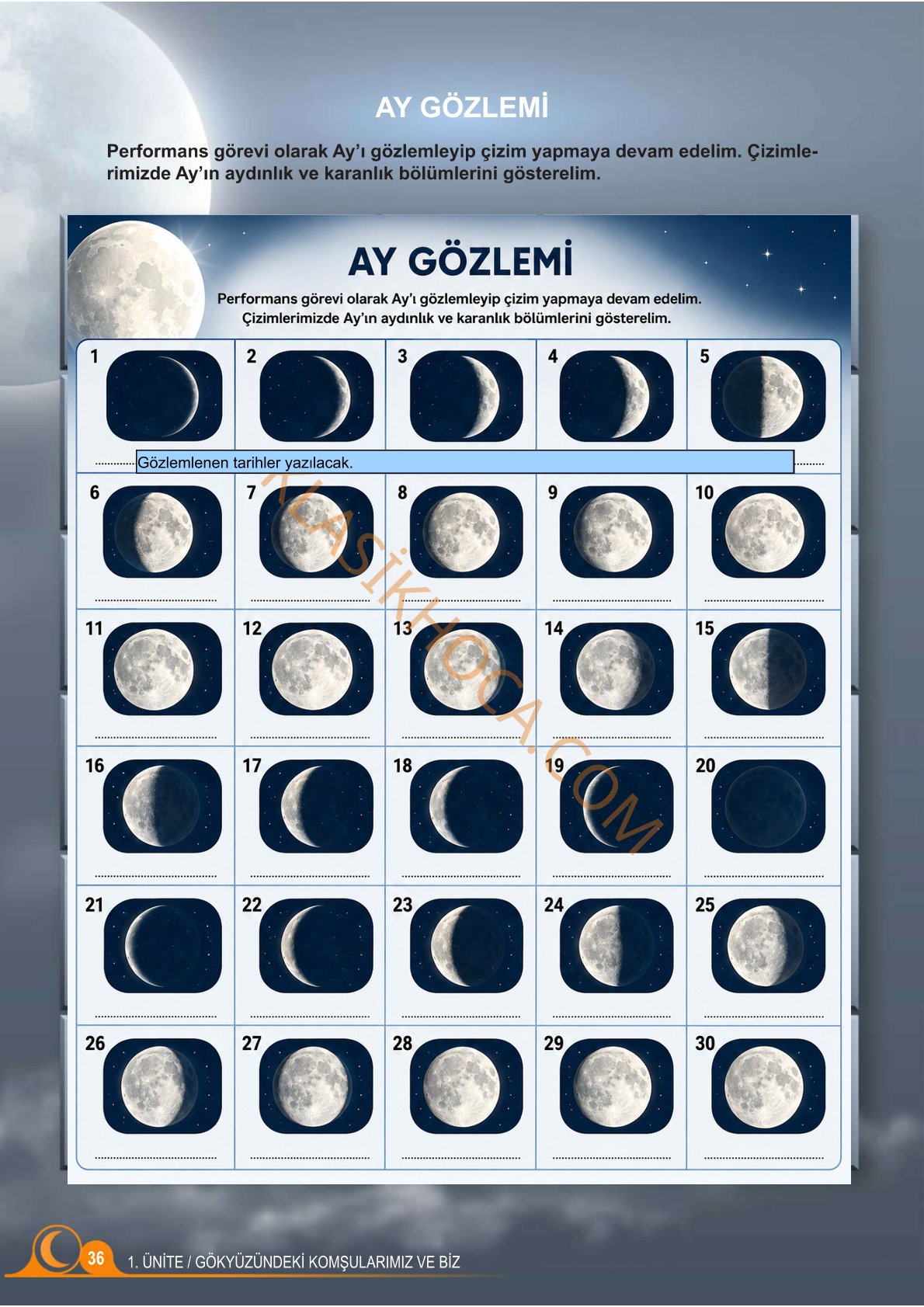 5. Sınıf Fen Bilimleri Kitabı 1. Kitap Sayfa 36 Cevapları