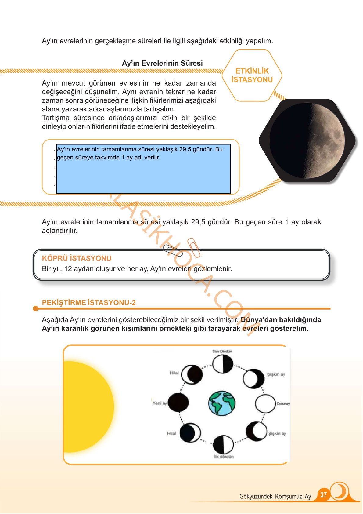 5. Sınıf Fen Bilimleri Kitabı 1. Kitap Sayfa 37 Cevapları