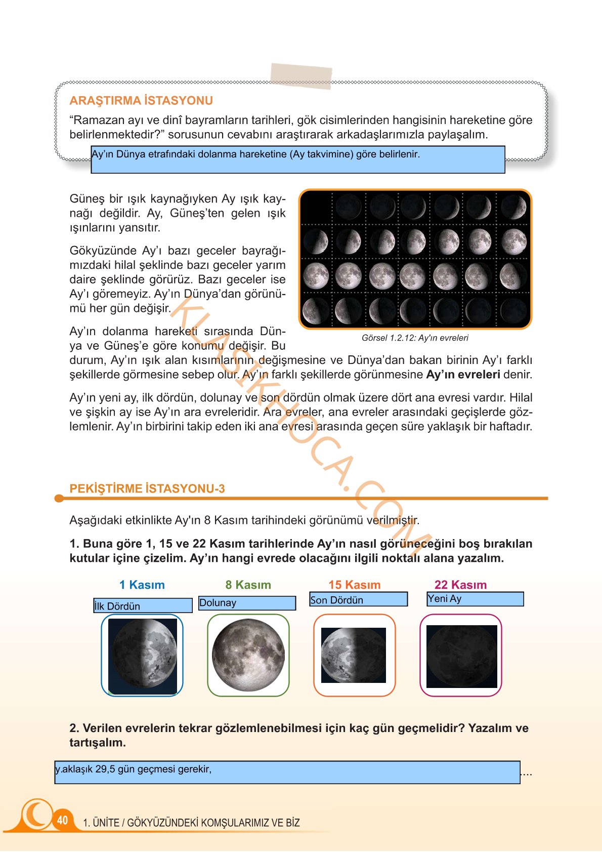 5. Sınıf Fen Bilimleri Kitabı 1. Kitap Sayfa 40 Cevapları