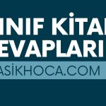 1. Sınıf Ders Kitabı Cevapları MEB Yayınları 2026-2027 1. Sınıf Ders Kitabı Cevapları MEB Yayınları 2026-2027