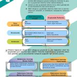 5. Sınıf Sosyal Bilgiler Kitabı 1. Kitap Sayfa 13 Cevapları