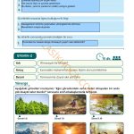 5. Sınıf Din Kültürü Kitabı Sayfa 17 Cevapları 5. Sınıf Din Kültürü Kitabı Sayfa 17 Cevapları