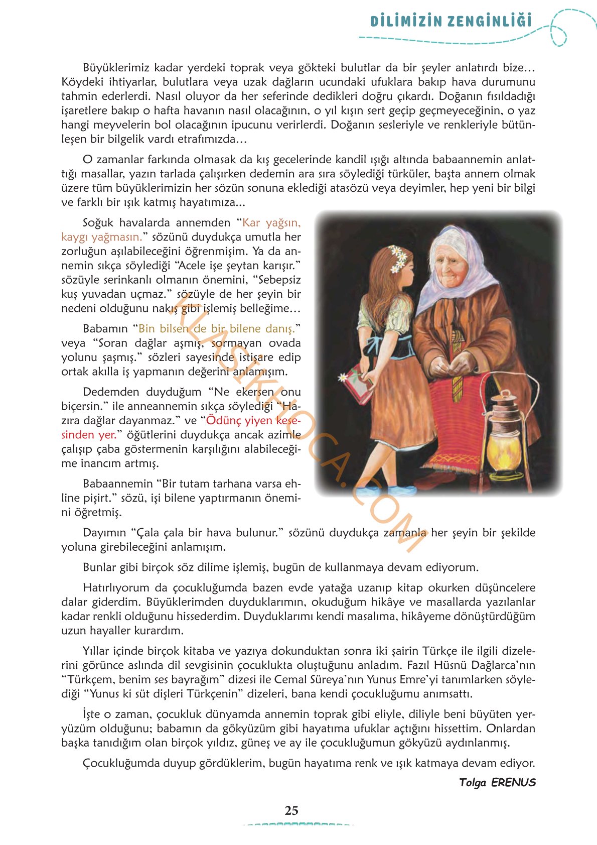 6. Sınıf Türkçe Kitabı Sayfa 24-25-26-27-28-29-30-31-32-33  Cevapları 1. Kitap