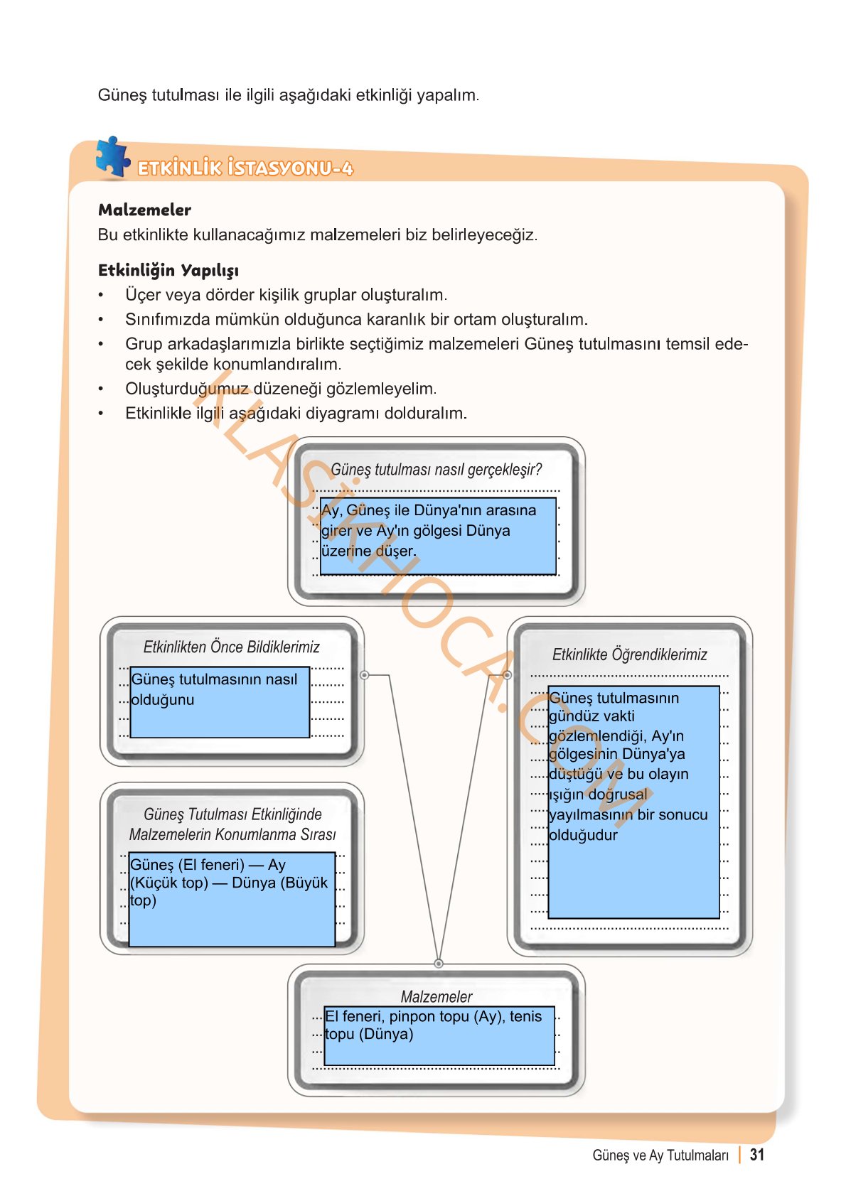 6. Sınıf Fen Bilimleri Kitabı 1. Kitap Sayfa 31 Cevapları
