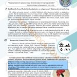 6. Sınıf Sosyal Bilgiler Kitabı 1. Kitap Sayfa 31 Cevapları
