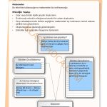 6. Sınıf Fen Bilimleri Kitabı 1. Kitap Sayfa 32 Cevapları 6. Sınıf Fen Bilimleri Kitabı 1. Kitap Sayfa 32 Cevapları