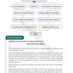5. Sınıf Din Kültürü Kitabı Sayfa 37 Cevapları 5. Sınıf Din Kültürü Kitabı Sayfa 37 Cevapları