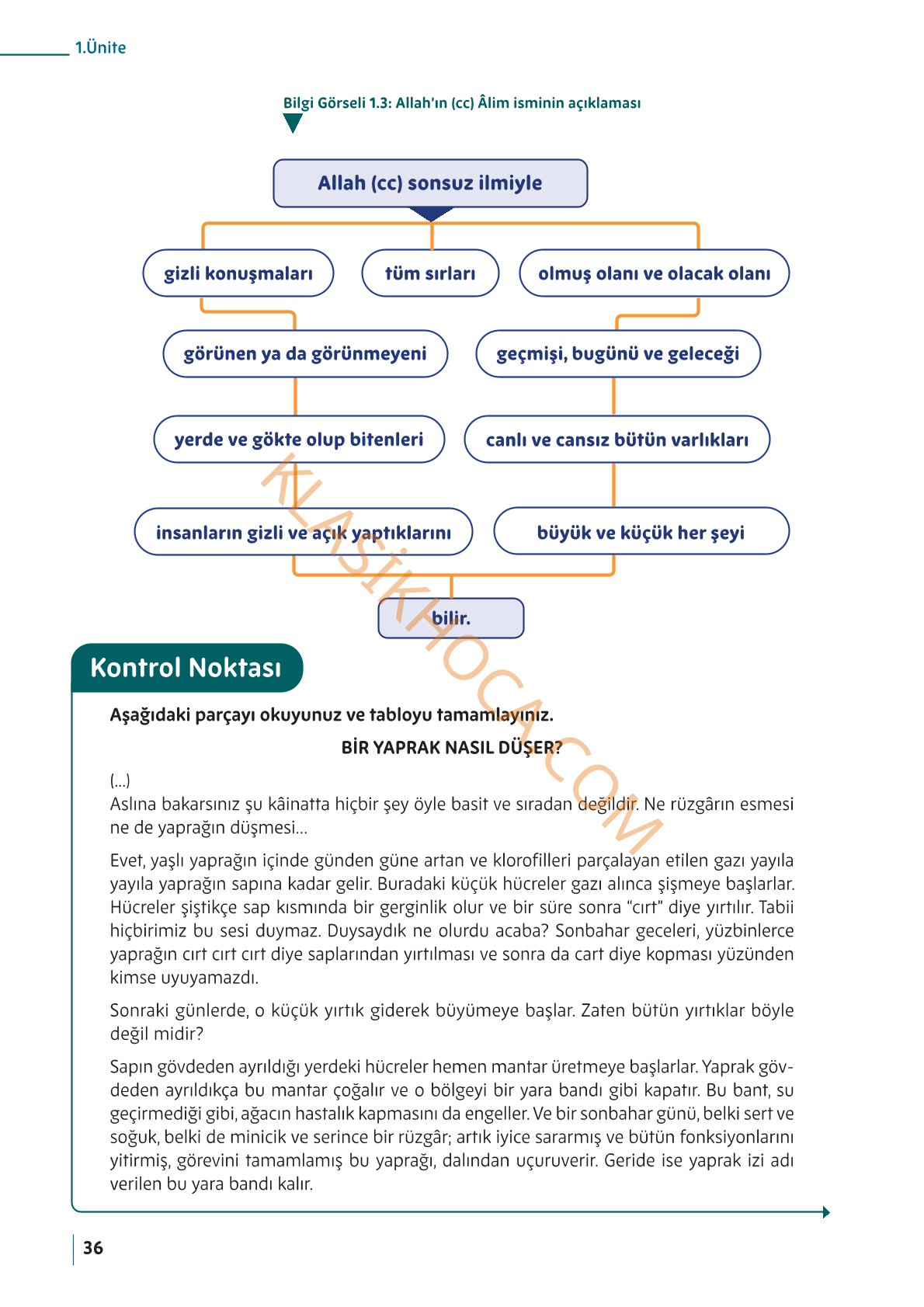 5. Sınıf Din Kültürü Kitabı Sayfa 36 Cevapları