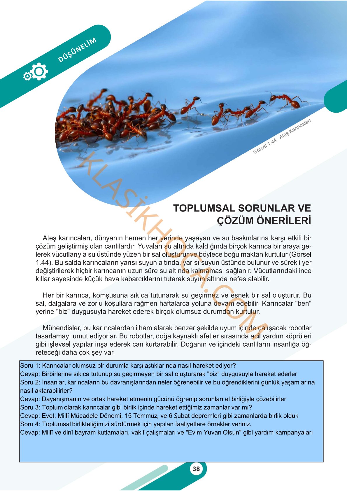 6. Sınıf Sosyal Bilgiler Kitabı Sayfa 38-39-40-41-42-43-44-45-56-47-48-49 Cevapları 1. Kitap