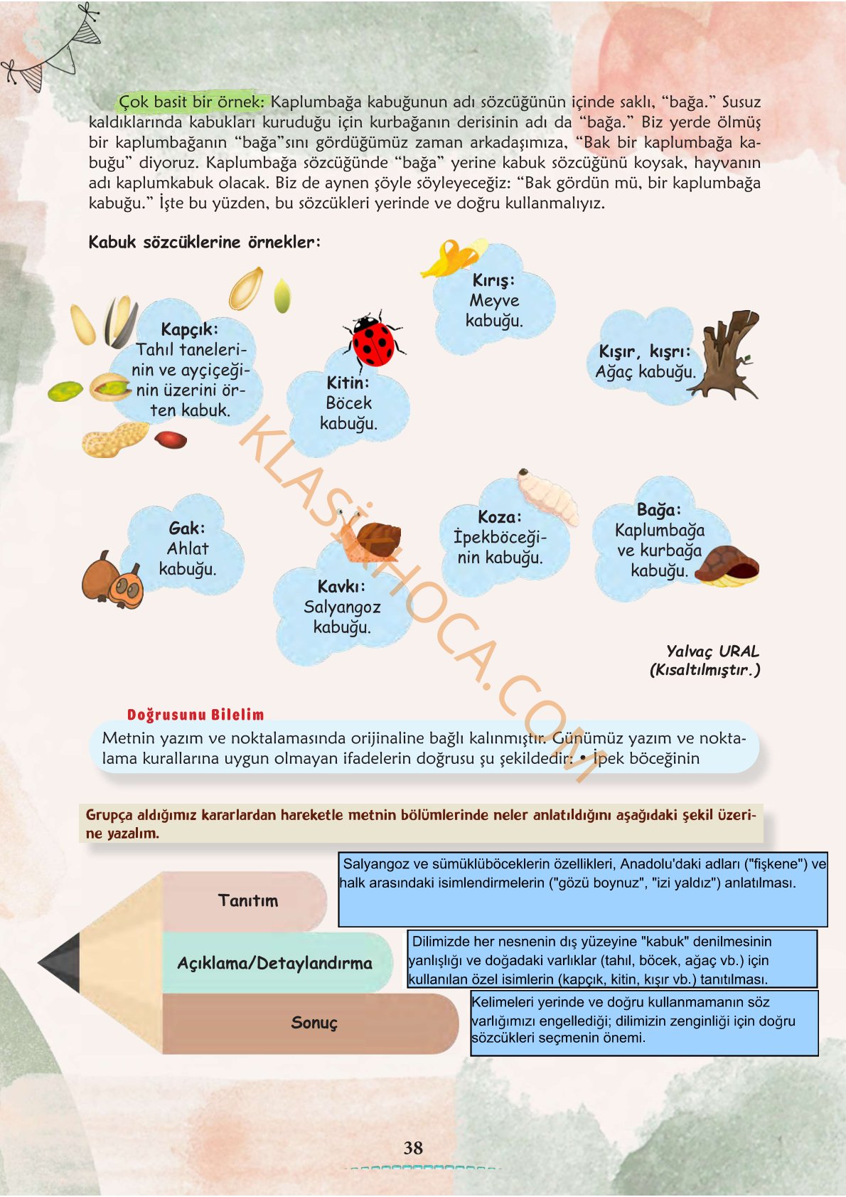 6. Sınıf Türkçe Kitabı 1. Kitap Sayfa 38 Cevapları