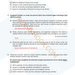 6. Sınıf Sosyal Bilgiler Kitabı 1. Kitap Sayfa 51 Cevapları