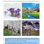 10. Sınıf Edebiyat Kitabı Sayfa 16-17-18-19-20-21-22-23-24 Cevapları