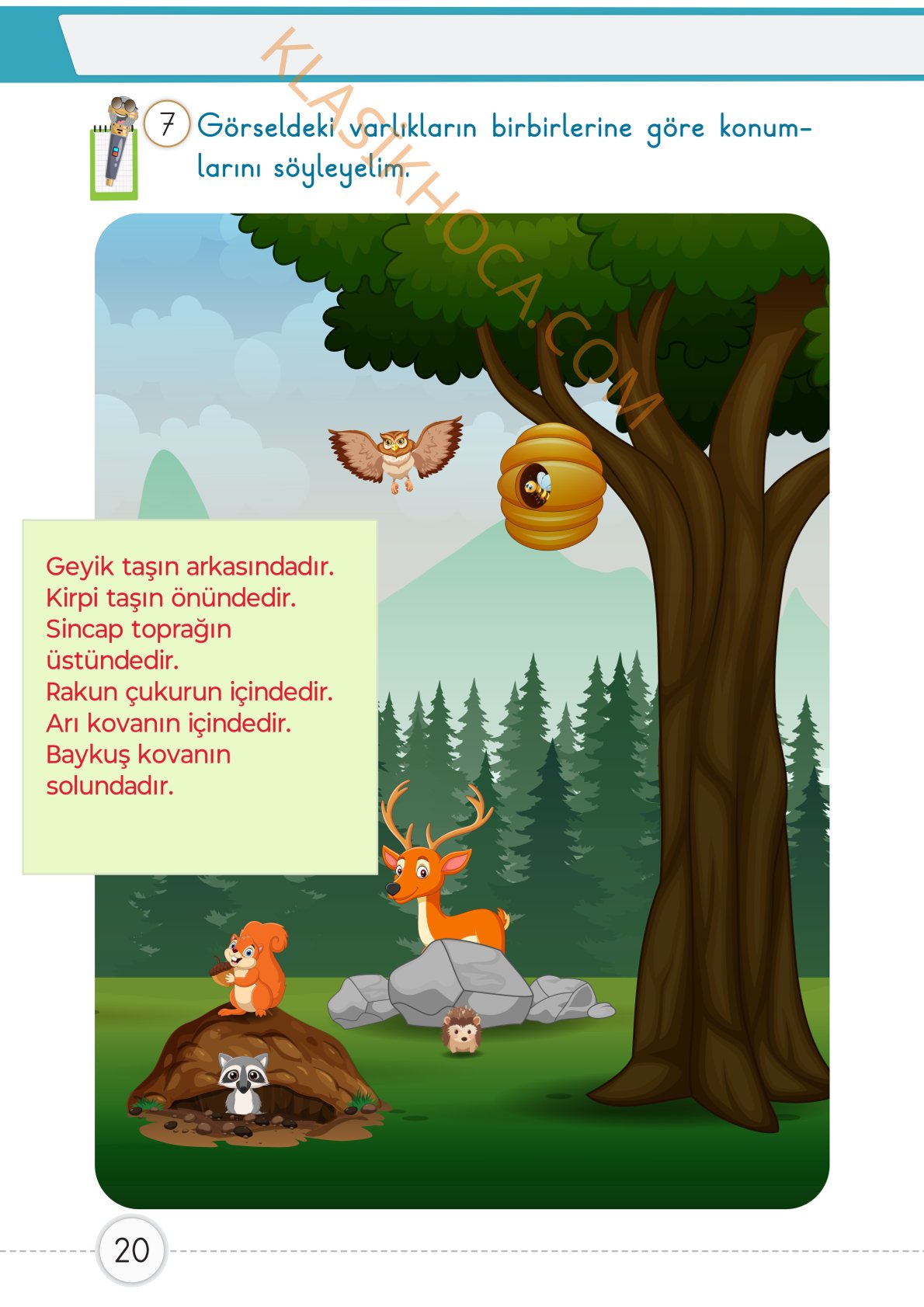 1. Sınıf Matematik Kitabı 1. Kitap Sayfa 20 Cevapları