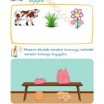 1. Sınıf Matematik Kitabı 1. Kitap Sayfa 22 Cevapları 1. Sınıf Matematik Kitabı 1. Kitap Sayfa 22 Cevapları