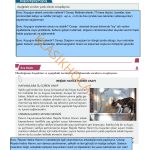 10. Sınıf Edebiyat Kitabı Sayfa 23 Cevapları 10. Sınıf Edebiyat Kitabı Sayfa 23 Cevapları