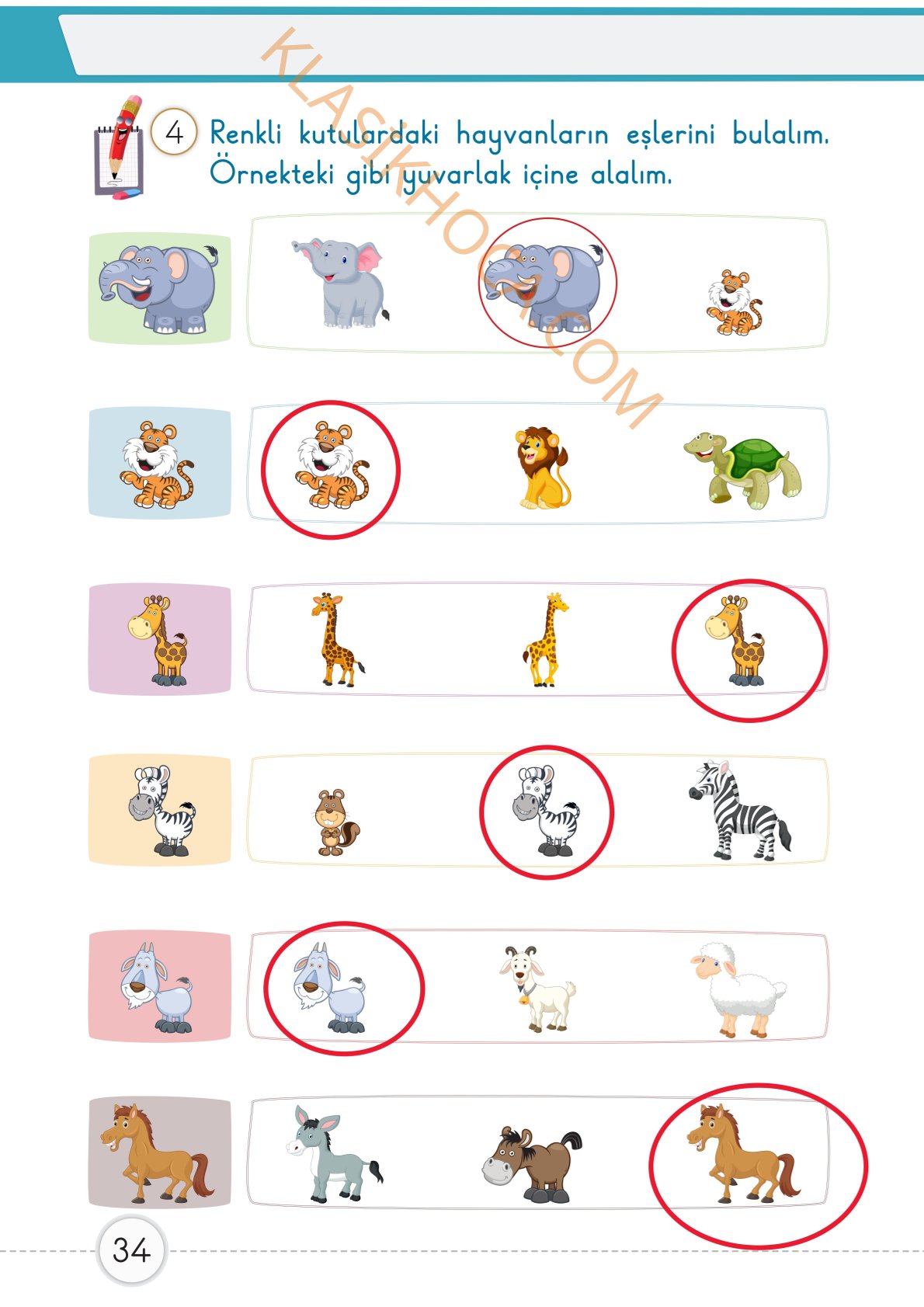 1. Sınıf Matematik Kitabı 1. Kitap Sayfa 34 Cevapları
