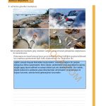 9. Sınıf Edebiyat Kitabı Sayfa 38 Cevapları