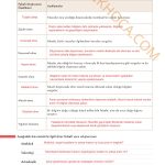 10. Sınıf Felsefe Kitabı Sayfa 39 Cevapları 10. Sınıf Felsefe Kitabı Sayfa 39 Cevapları
