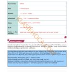 10. Sınıf Edebiyat Kitabı Sayfa 45 Cevapları