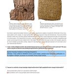 9. Sınıf Tarih Kitabı Sayfa 64 Cevapları 9. Sınıf Tarih Kitabı Sayfa 64 Cevapları