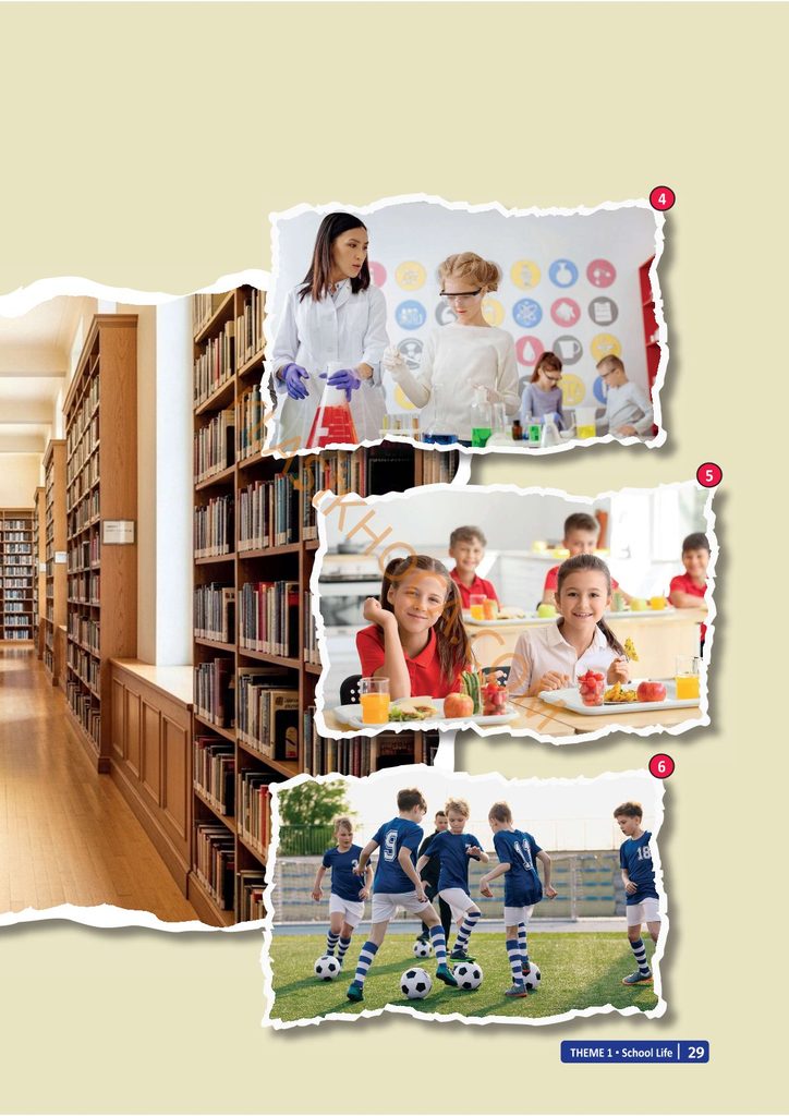 6. Sınıf İngilizce Ders Kitabı Sayfa 28-29-30-31-32-33 Cevapları