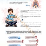 5. Sınıf Türkçe Kitabı Sayfa 32 Cevapları 1. Kitap 5. Sınıf Türkçe Kitabı Sayfa 32 Cevapları 1. Kitap