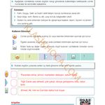 7. Sınıf Türkçe Kitabı Sayfa 49 Cevapları 1. Kitap 7. Sınıf Türkçe Kitabı Sayfa 49 Cevapları 1. Kitap