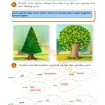 3. Sınıf Türkçe Kitabı Sayfa 45-46-47-48-49-50-51-52-53 Cevapları 1. Kitap