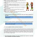 7. Sınıf Sosyal Bilgiler Kitabı Sayfa 54 Cevapları 1. Kitap